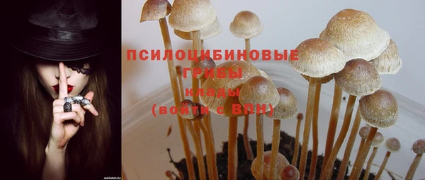 прущие крисы Алексеевка